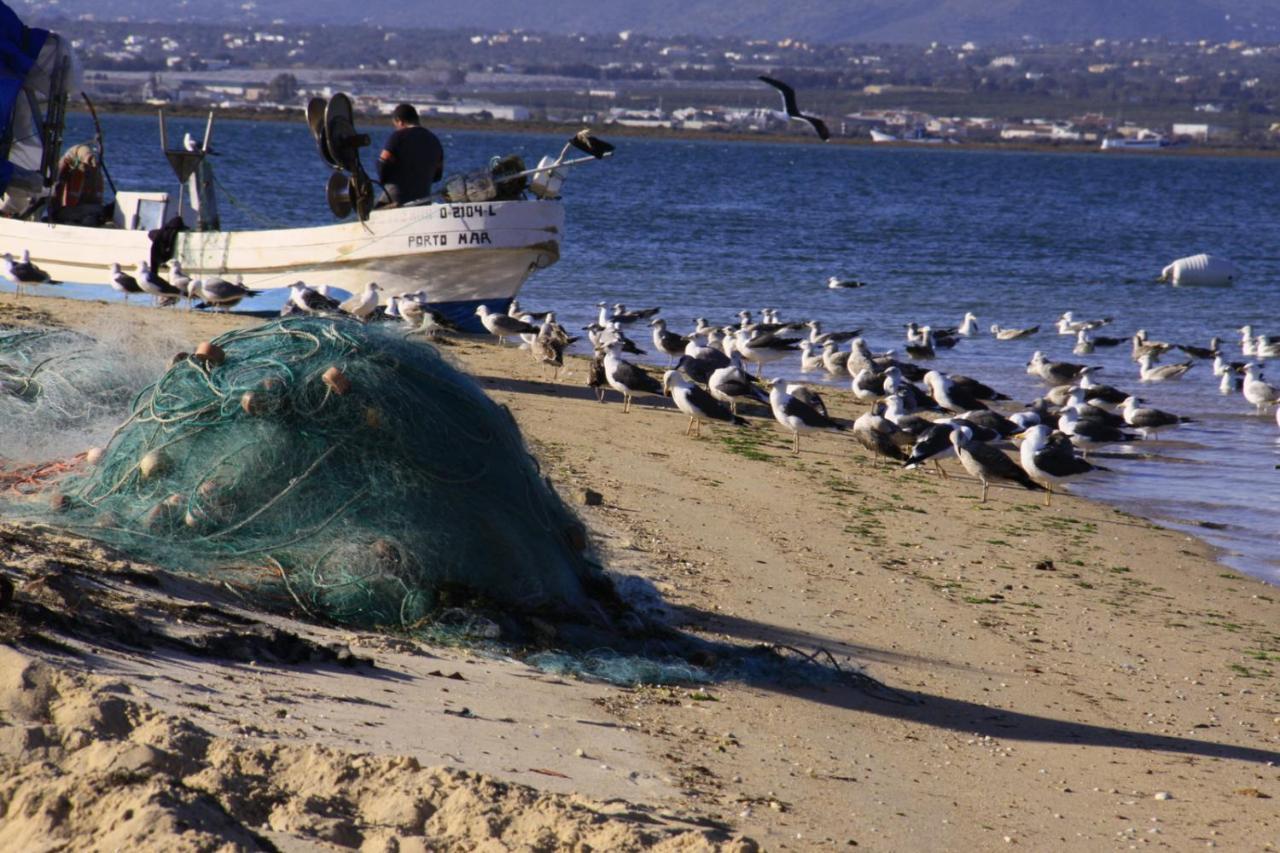 Dans Les Nuages Leilighet Armação de Pêra Eksteriør bilde